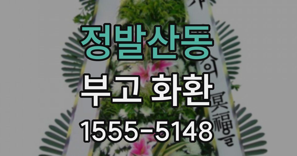 정발산동 부고 화환