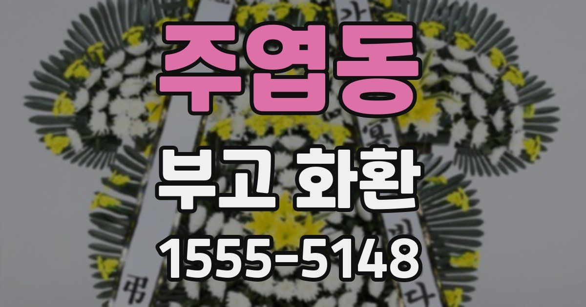 주엽동 부고 화환