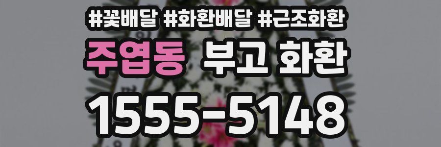 주엽동 부고 화환