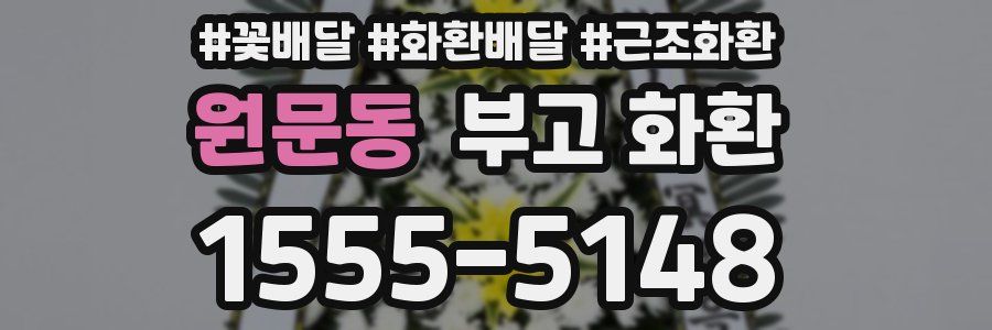 원문동 부고 화환