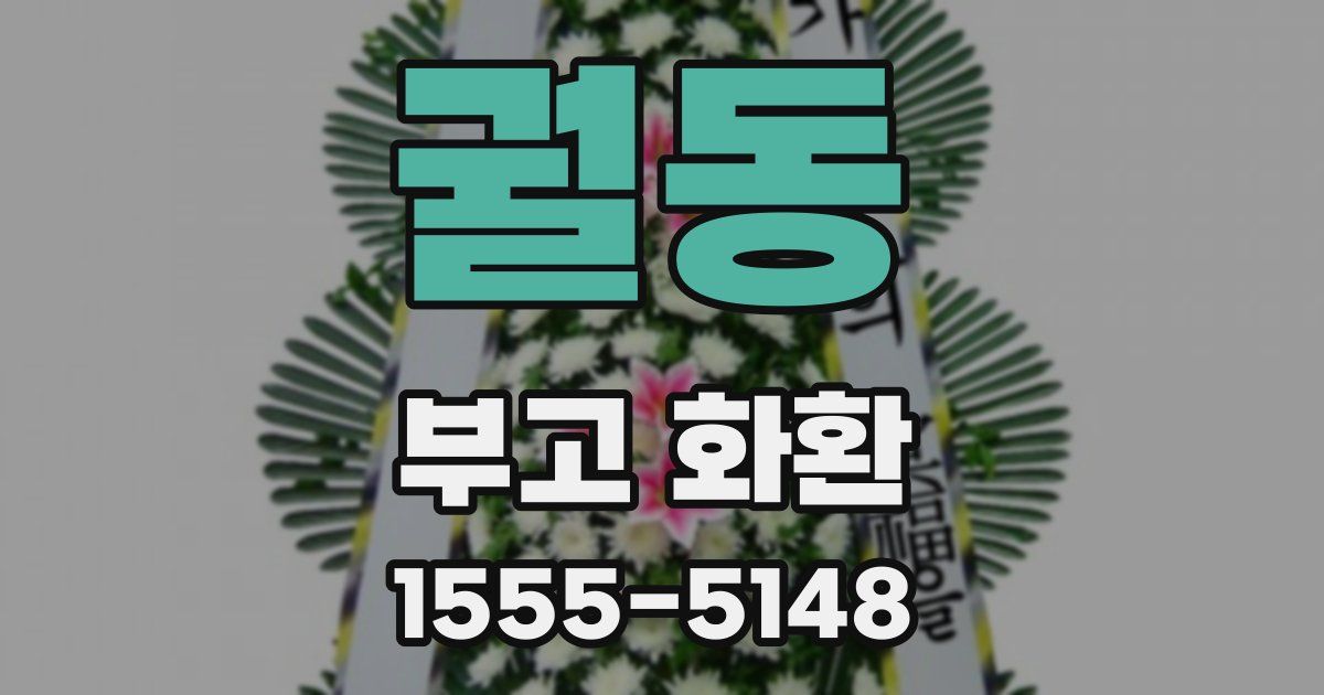 궐동 부고 화환