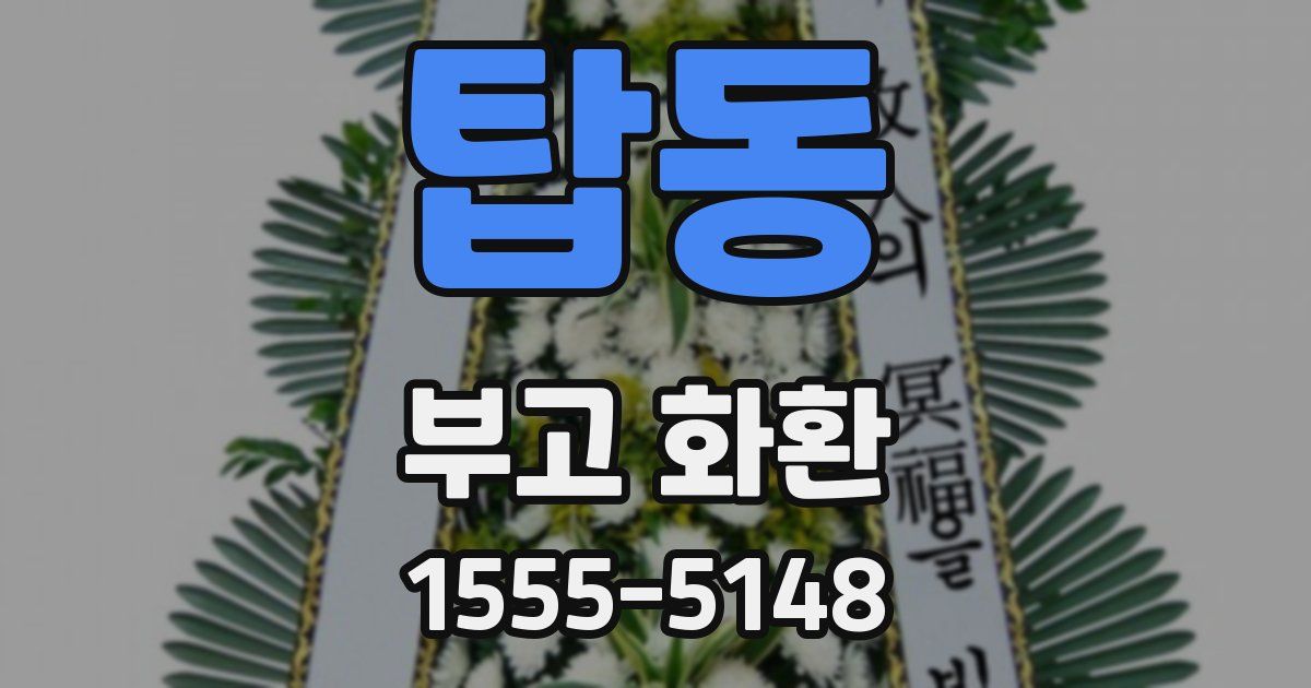 탑동 부고 화환
