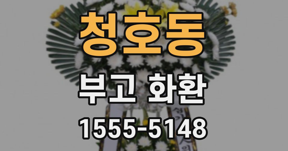 청호동 부고 화환