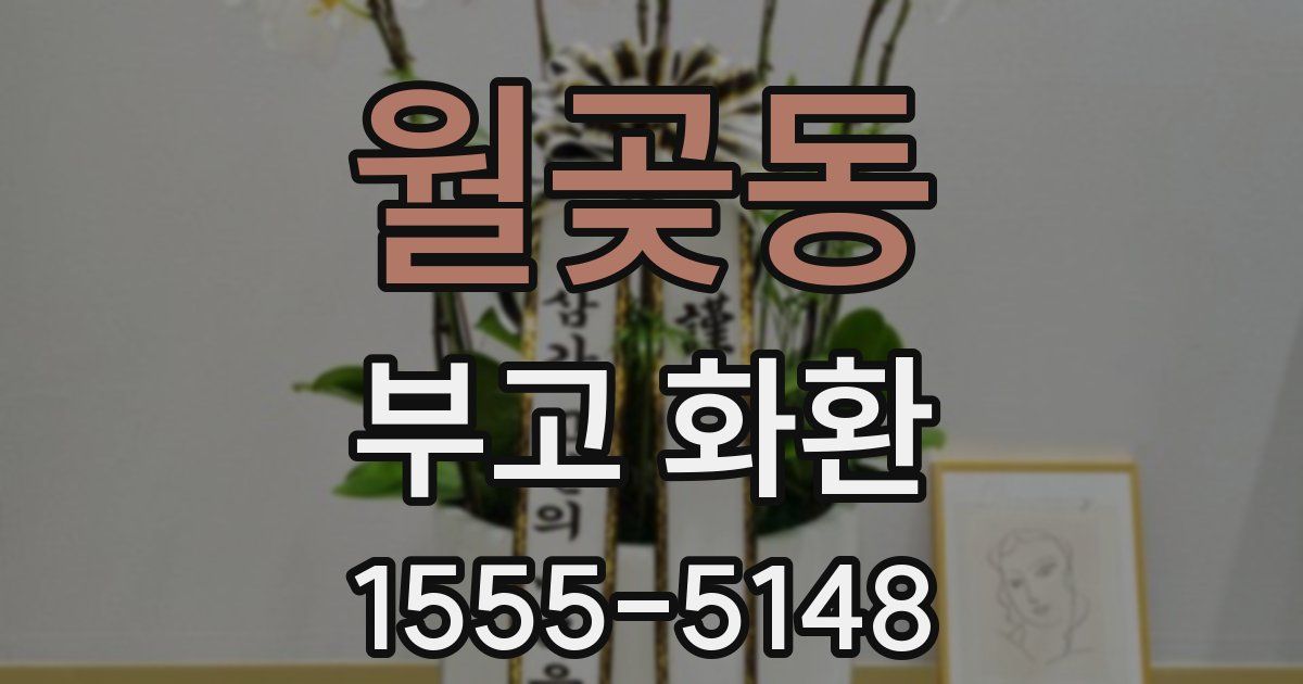 월곶동 부고 화환