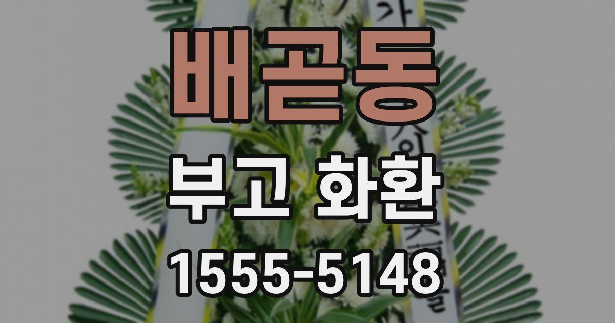 배곧동 부고 화환