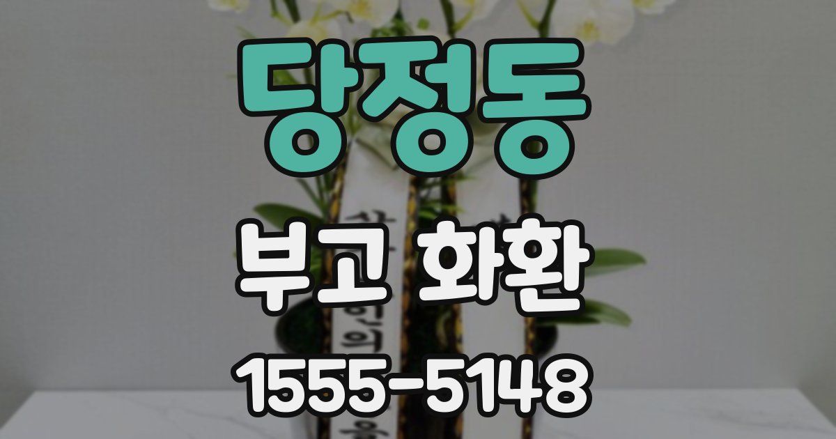 당정동 부고 화환