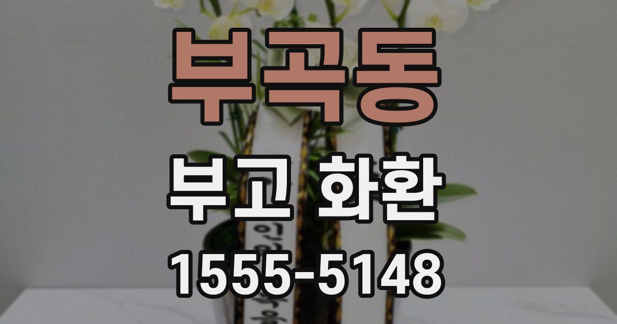 부곡동 부고 화환