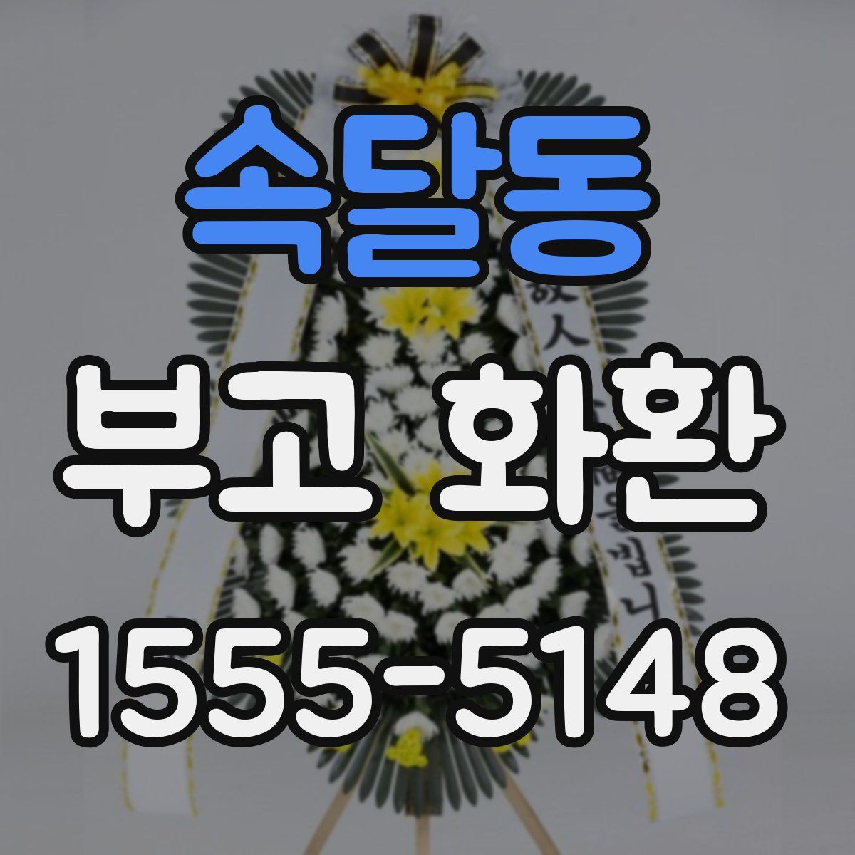 속달동 부고 화환