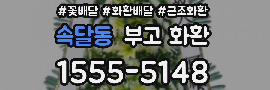속달동 부고 화환