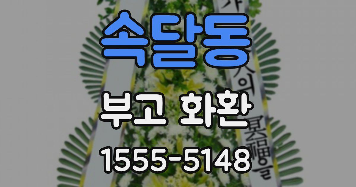 속달동 부고 화환