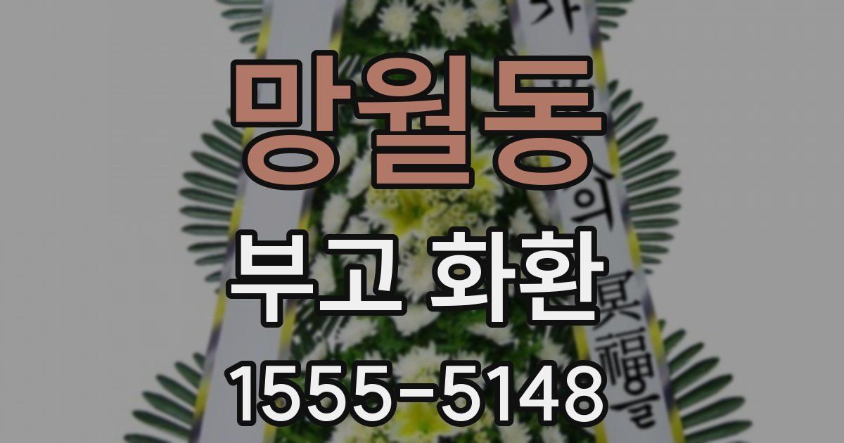 망월동 부고 화환