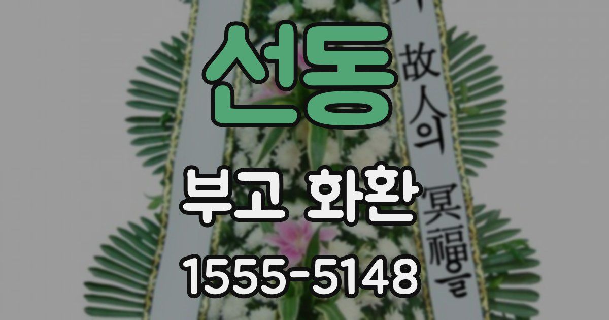선동 부고 화환