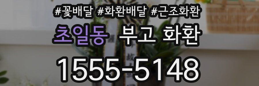 초일동 부고 화환