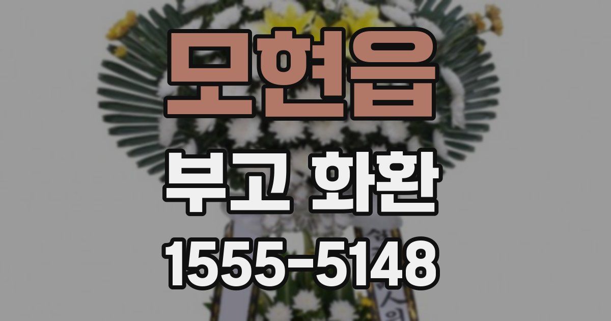 모현읍 부고 화환