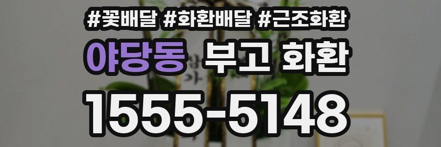 야당동 부고 화환