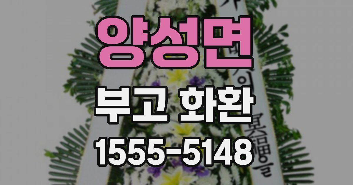 양성면 부고 화환