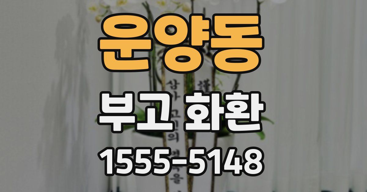운양동 부고 화환