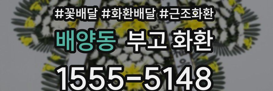 배양동 부고 화환