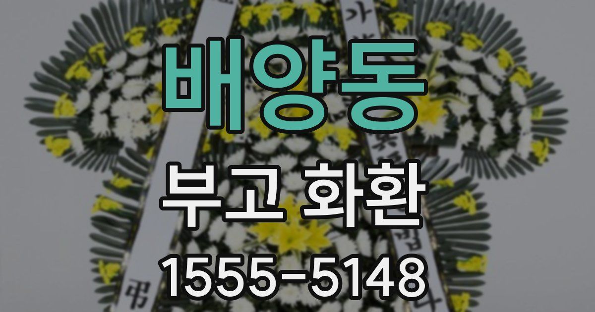 배양동 부고 화환