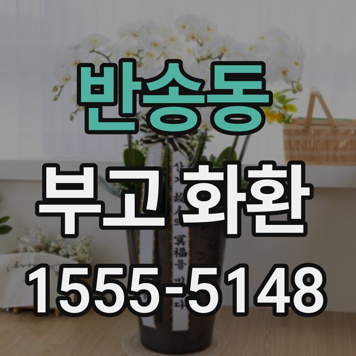반송동 부고 화환