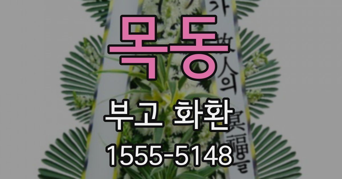 목동 부고 화환