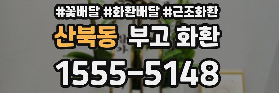 산북동 부고 화환