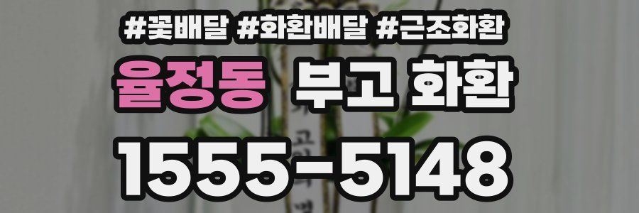 율정동 부고 화환