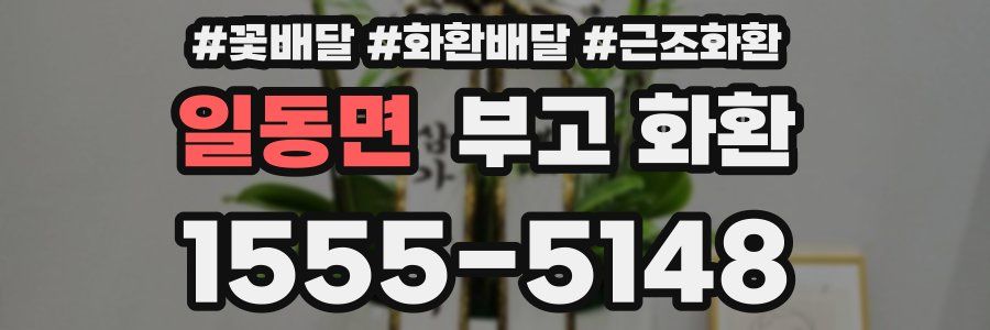 일동면 부고 화환