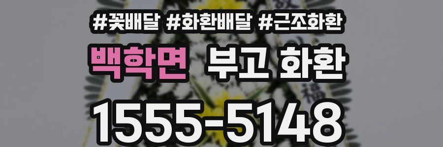 백학면 부고 화환