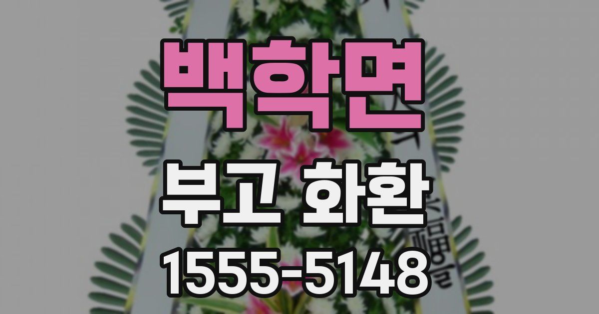 백학면 부고 화환