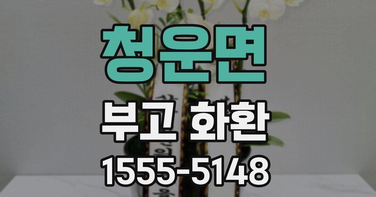 청운면 부고 화환