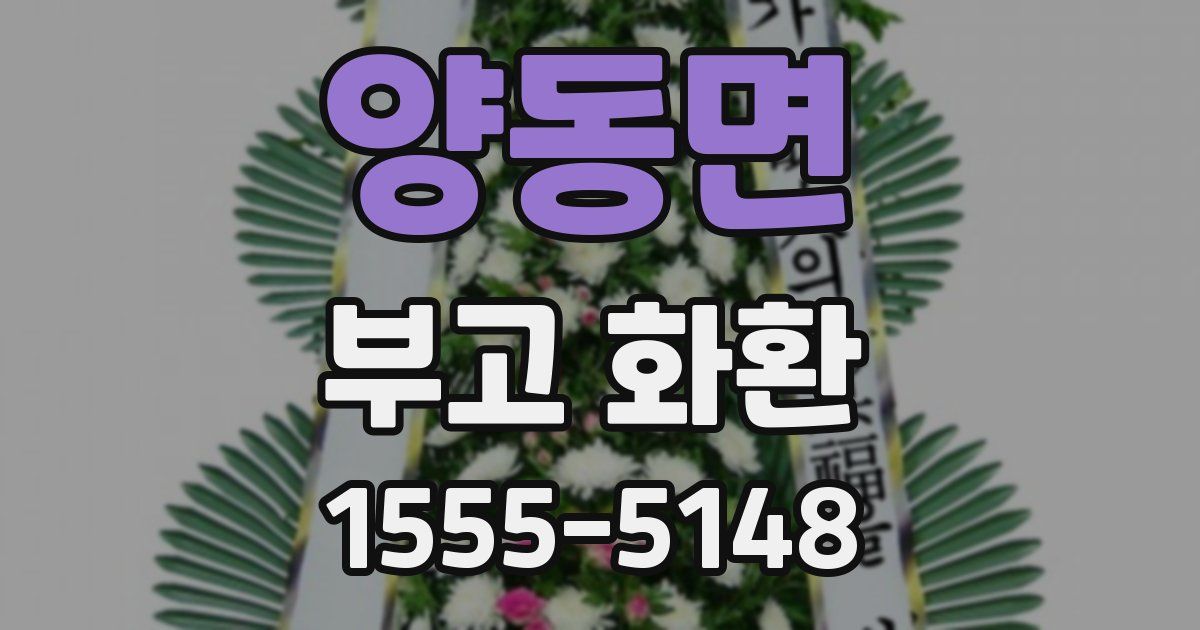 양동면 부고 화환