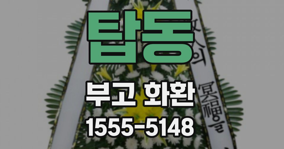 탑동 부고 화환