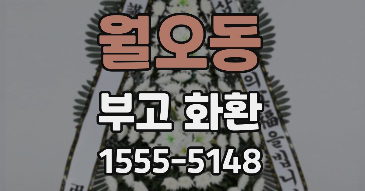월오동 부고 화환