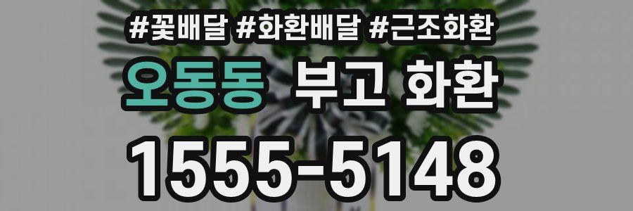 오동동 부고 화환
