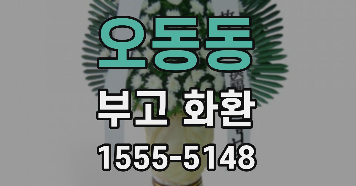 오동동 부고 화환