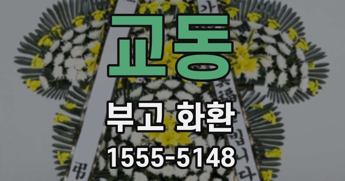 교동 부고 화환