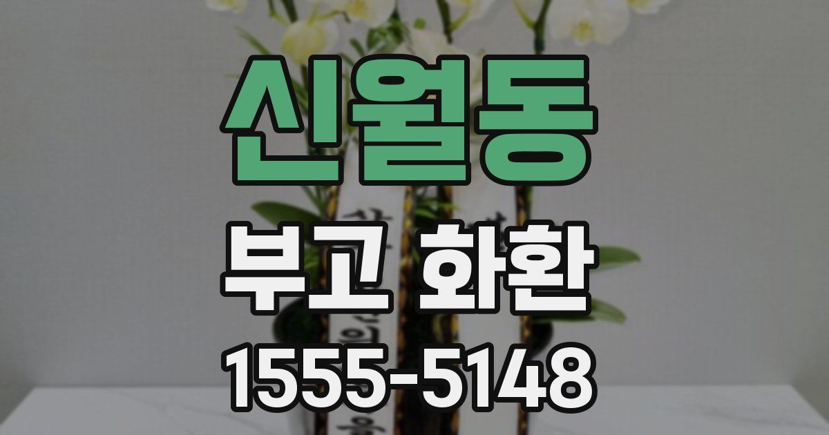 신월동 부고 화환