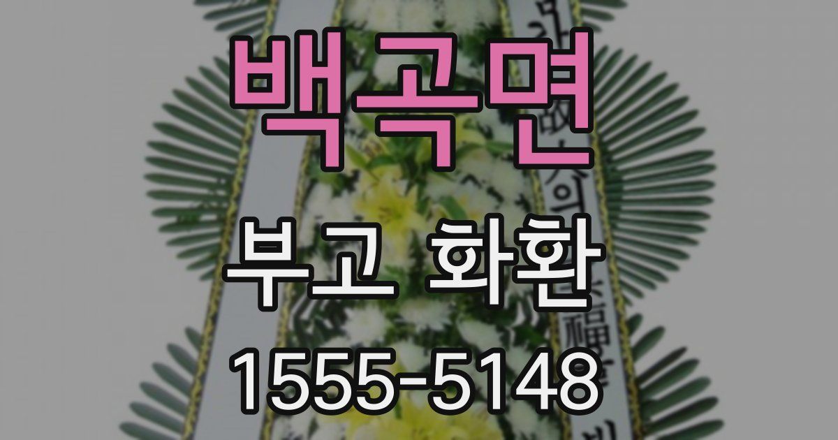 백곡면 부고 화환