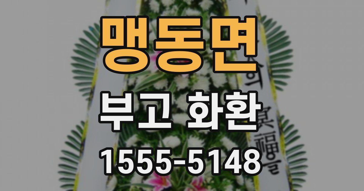 맹동면 부고 화환