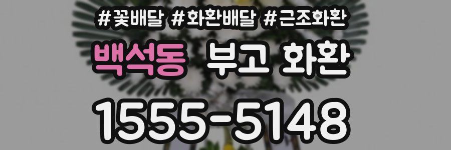 백석동 부고 화환