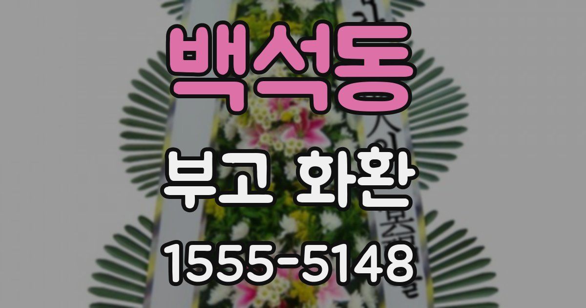 백석동 부고 화환