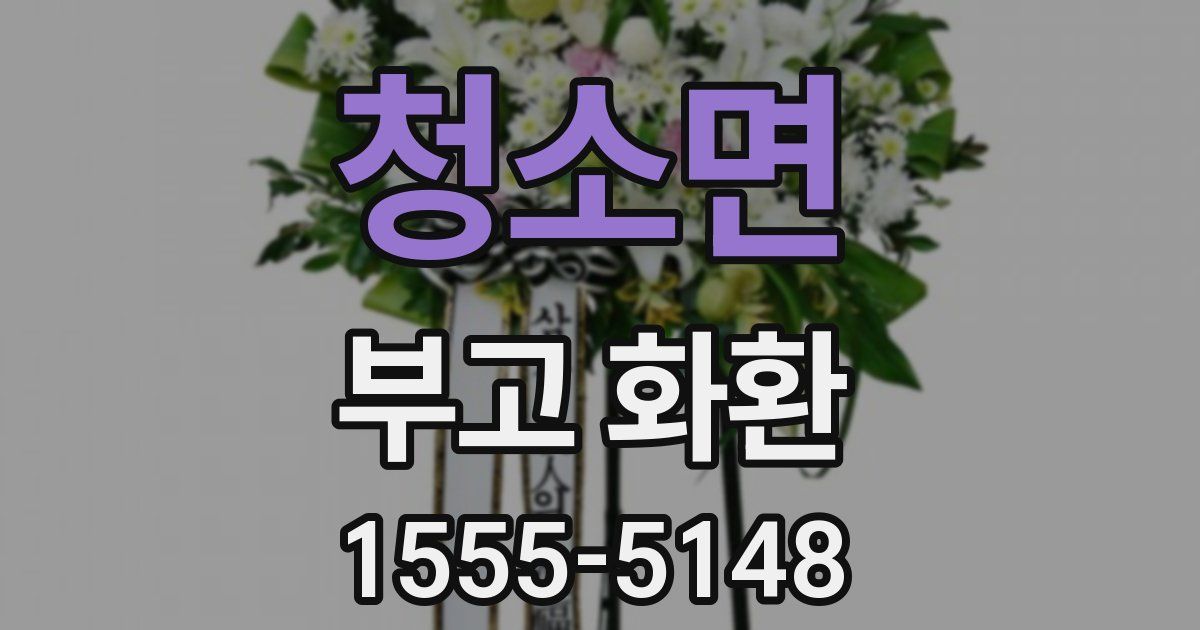 청소면 부고 화환