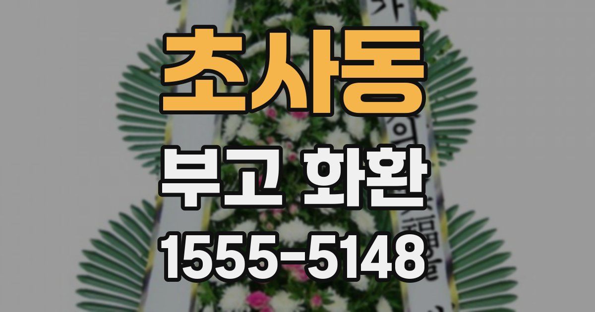 초사동 부고 화환