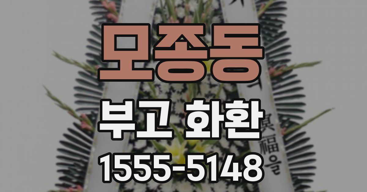 모종동 부고 화환