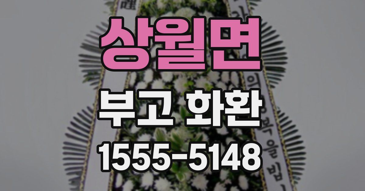 상월면 부고 화환