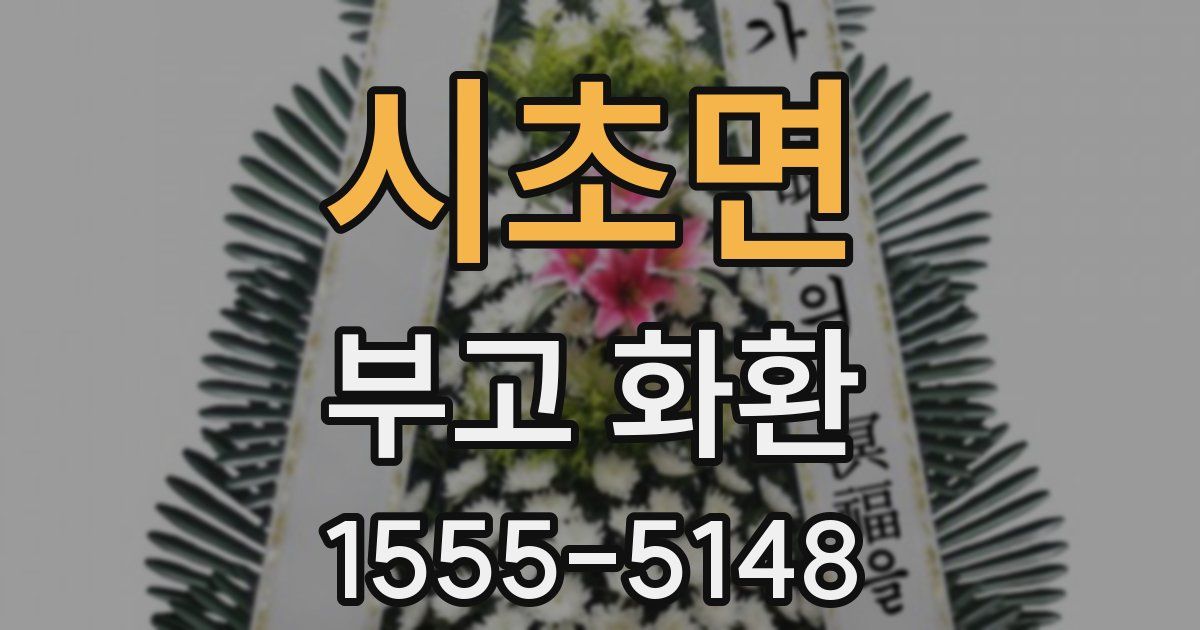 시초면 부고 화환
