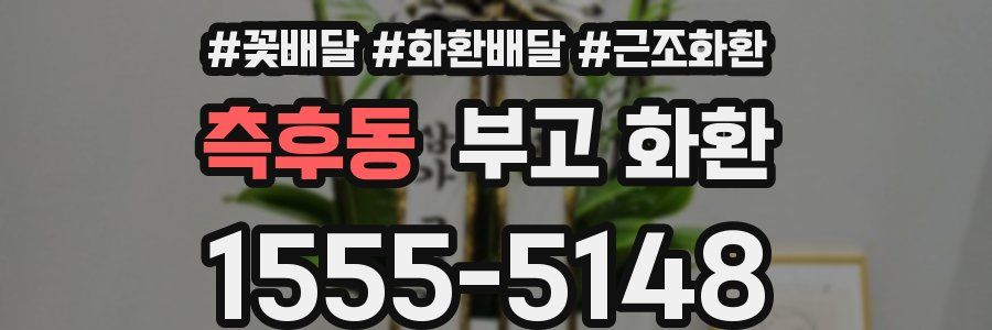 측후동 부고 화환