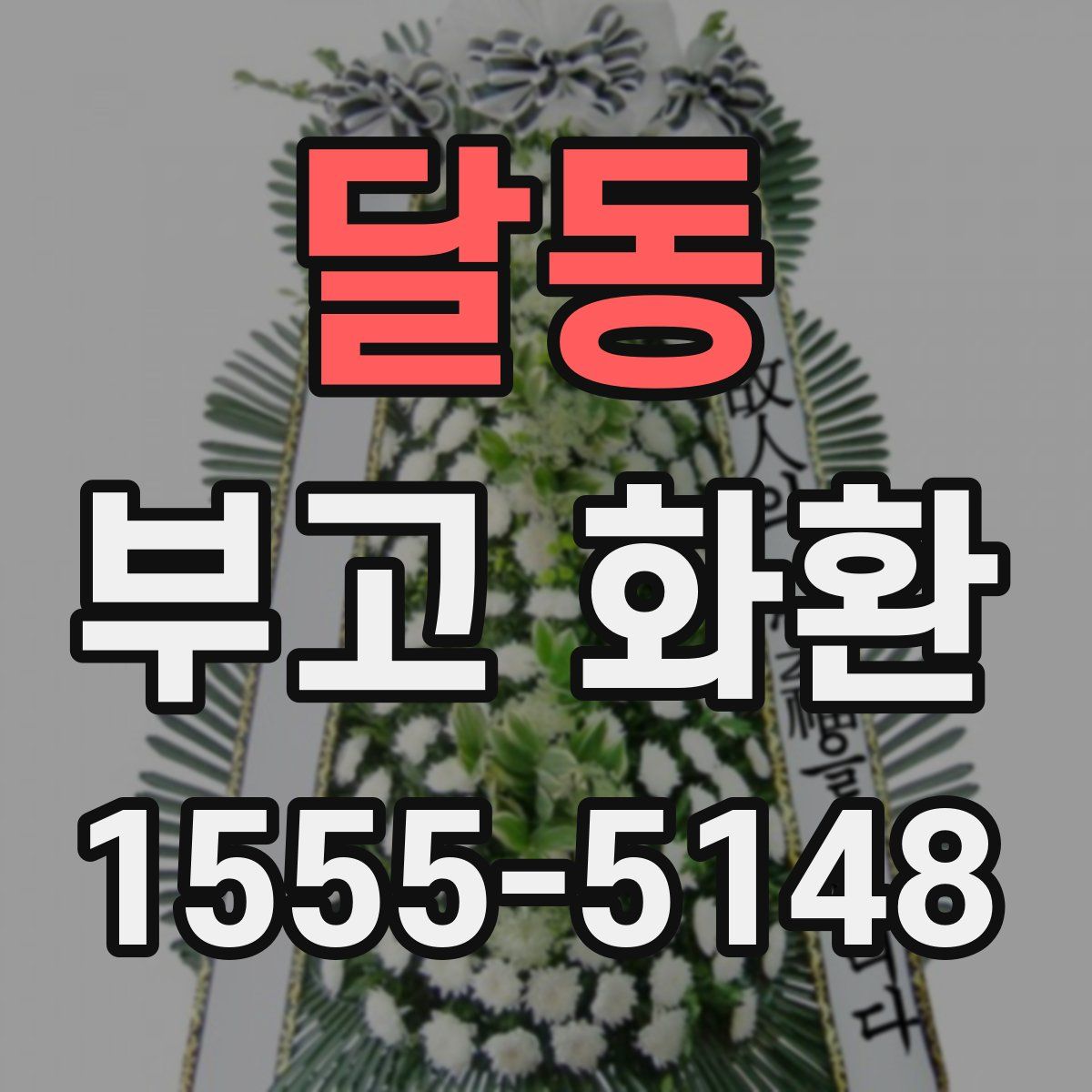 달동 부고 화환