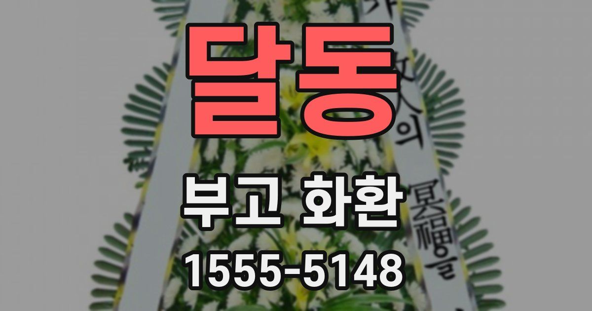 달동 부고 화환
